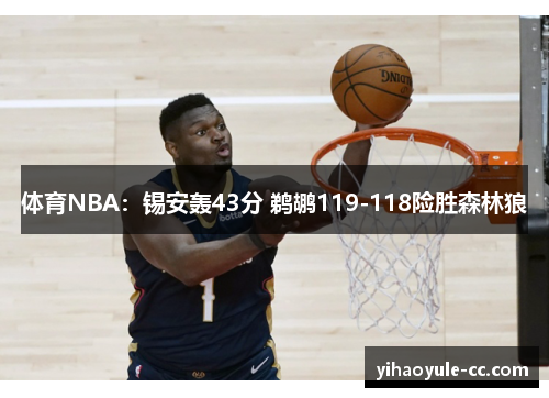 体育NBA：锡安轰43分 鹈鹕119-118险胜森林狼